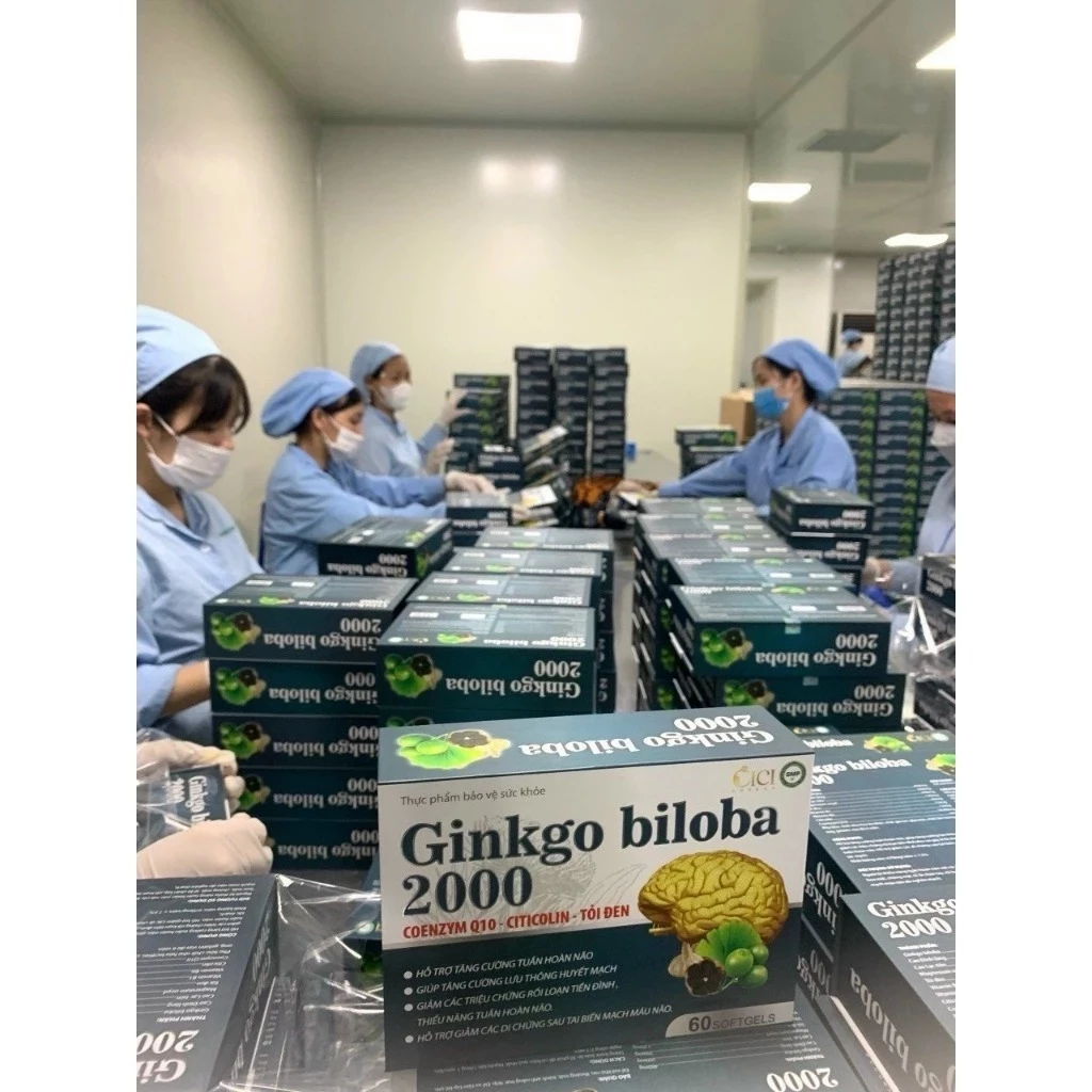 Viên Uống hoạt huyết dưỡng não Ginkgo Biloba 2000 hộp 60v bổ não, tuần hoàn não, tăng cường trí nhớ